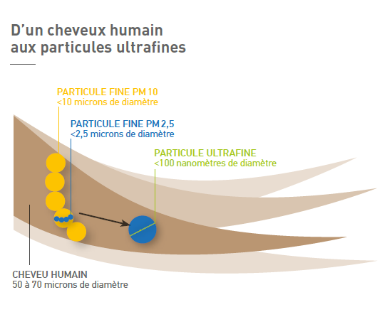 Cheveu humain et taille des particules