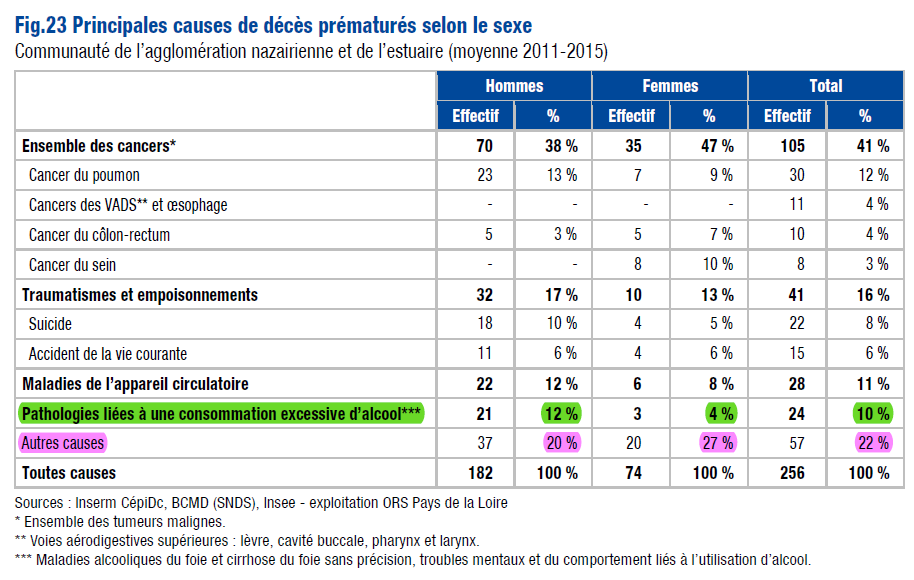 Tableau principales causes décès rapport ors 2019