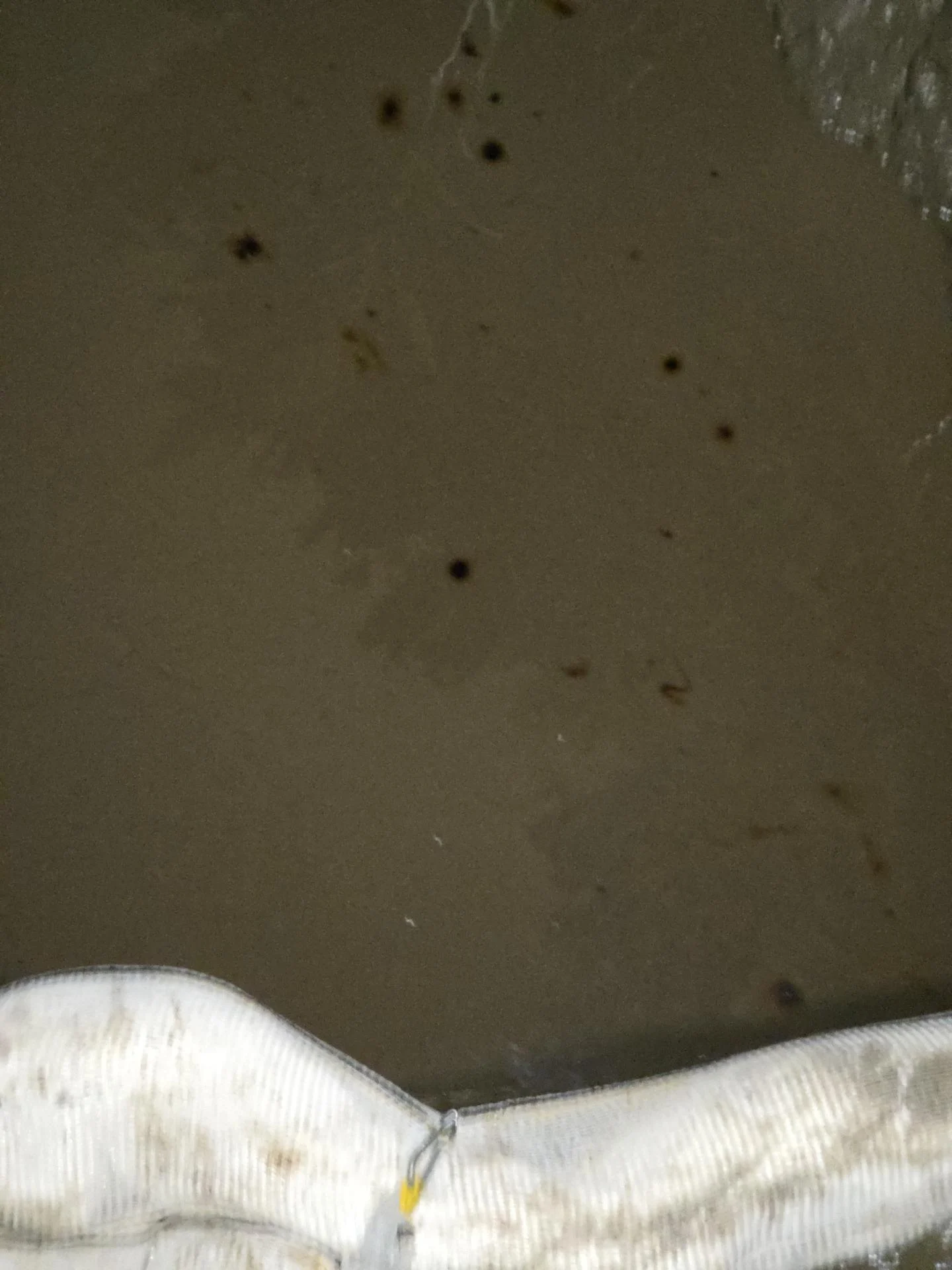 Traces d hydrocarbures